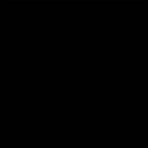фото Стекло цветное Лакобель RAL-9005 Black Classic