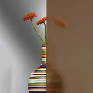 Фото стекло модель Сатината цвет бронза